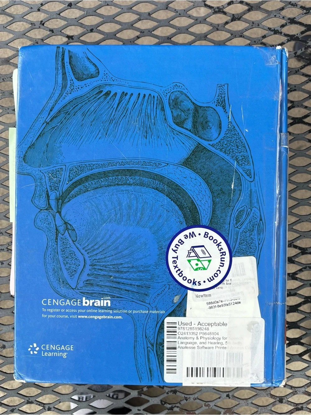 Anatomy and physiology for speech language pathology book